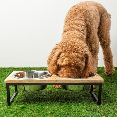 Wood & Metal Pet Feeder