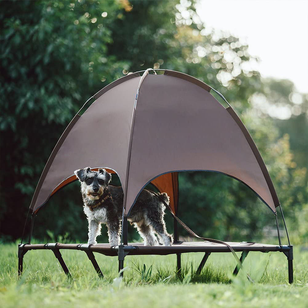 Elevated Dog Tent Bed with Canopy