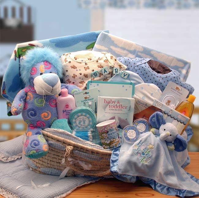 Deluxe Moses Baby Carrier Gift Basket -Blue