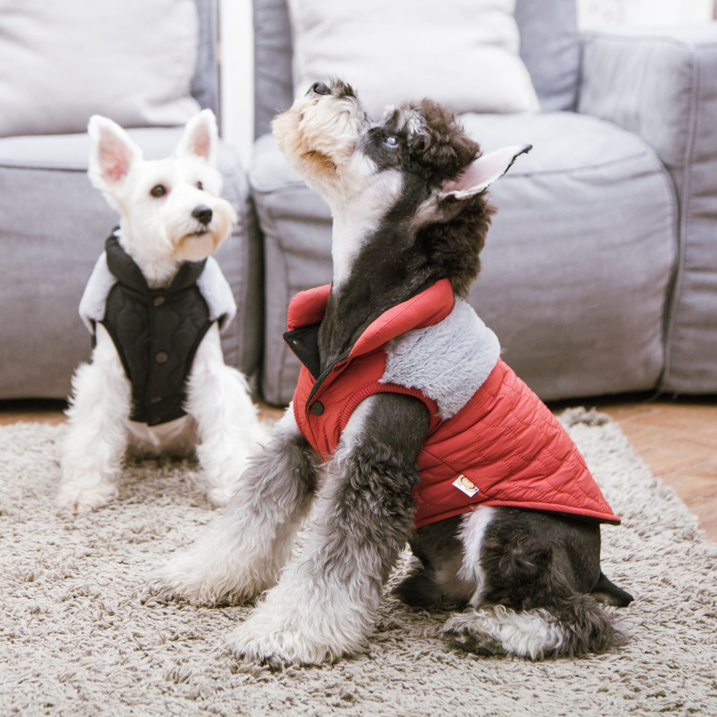 Touchdog ® 'Furrost-Bite' Fur and Fleece Fashion Dog Jacket