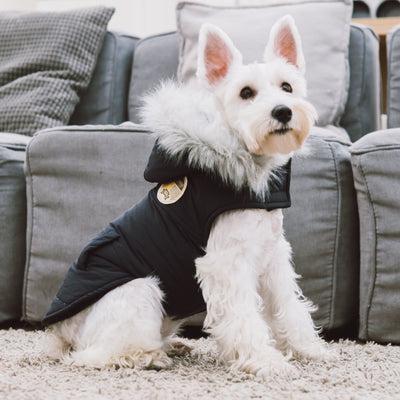 Touchdog ® 'Eskimo-Swag' Duck-Down Parka Dog Coat