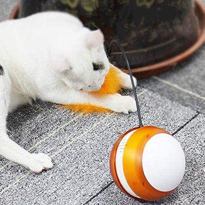 360 Degree Self Rotating Cat Toy Ball