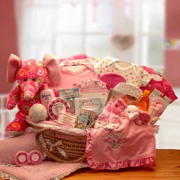 Deluxe Moses Baby Carrier Gift Basket - Pink