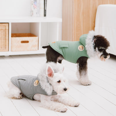 Touchdog ® 'Eskimo-Swag' Duck-Down Parka Dog Coat